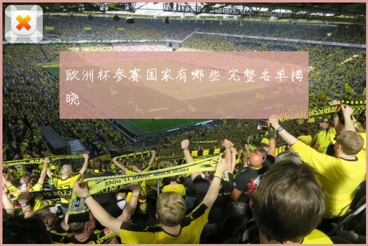 欧洲杯参赛国家有哪些 完整名单揭晓