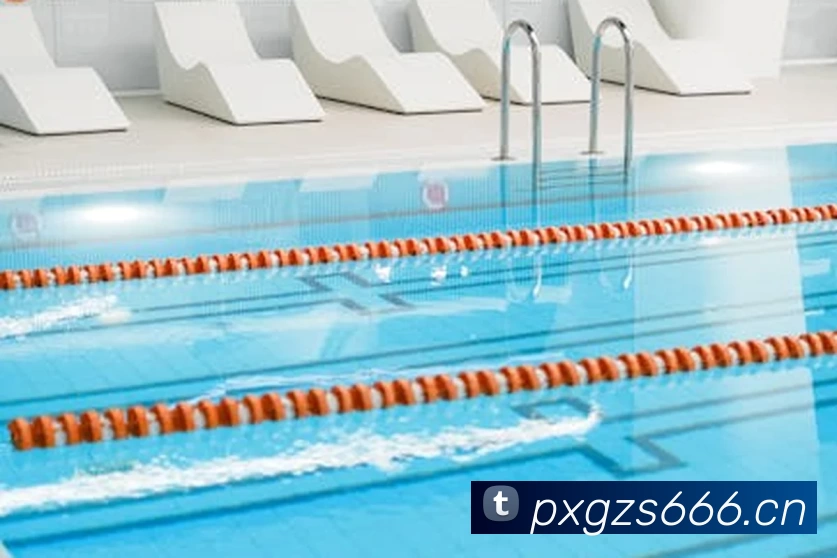 世界杯中国官网平台生态图